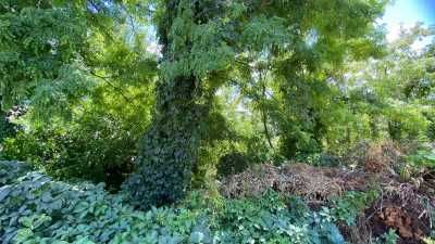 Участок на Фонтане