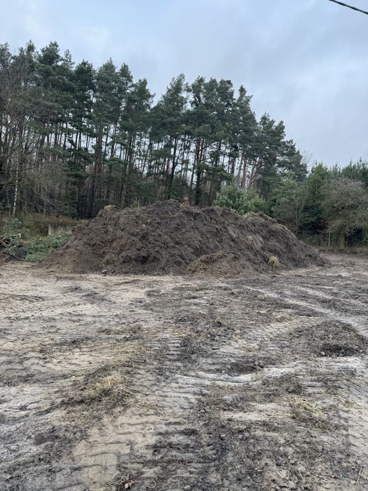 Ziemie oddam za darmo