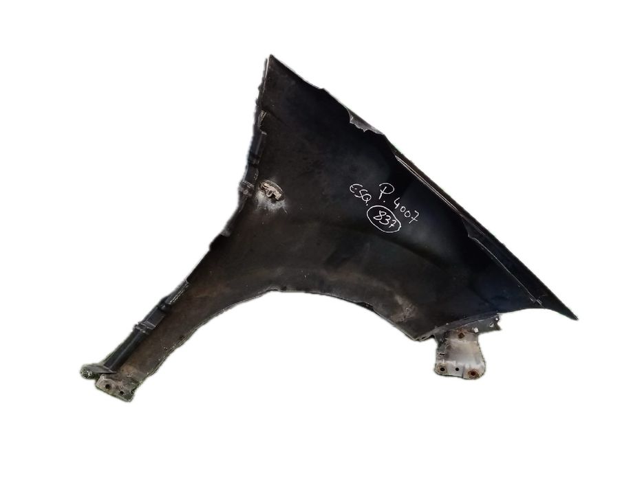 Guarda-lamas esquerdo PEUGEOT 4007 (VU_, VV_)