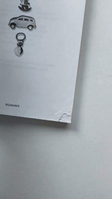 Książka Supermisiek