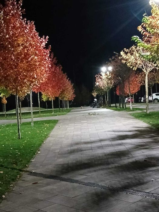 Євро 3к на Прорізній з видом на фонтан . Довгострокова оренда