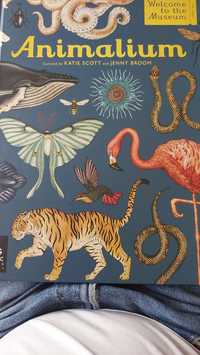 Animalium curated by Katie Scott and Jenny Broom