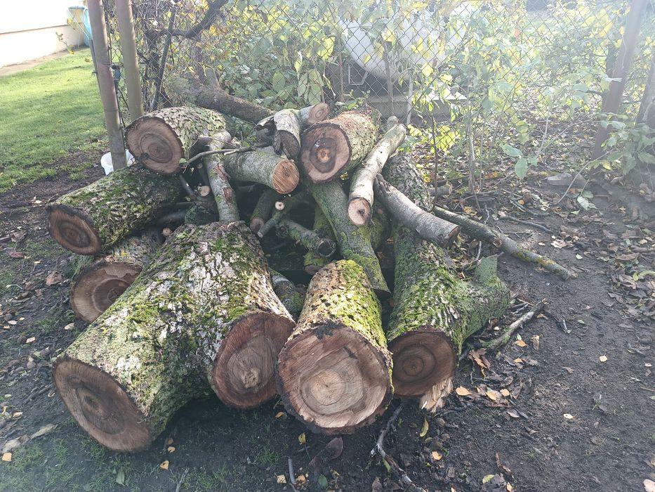 Drewno opał  orzech