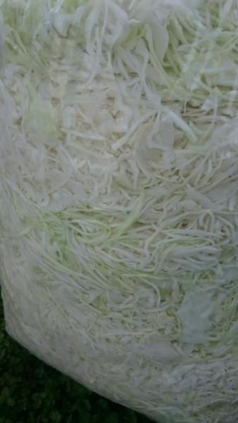 Sprzedam kapustę szatkowaną