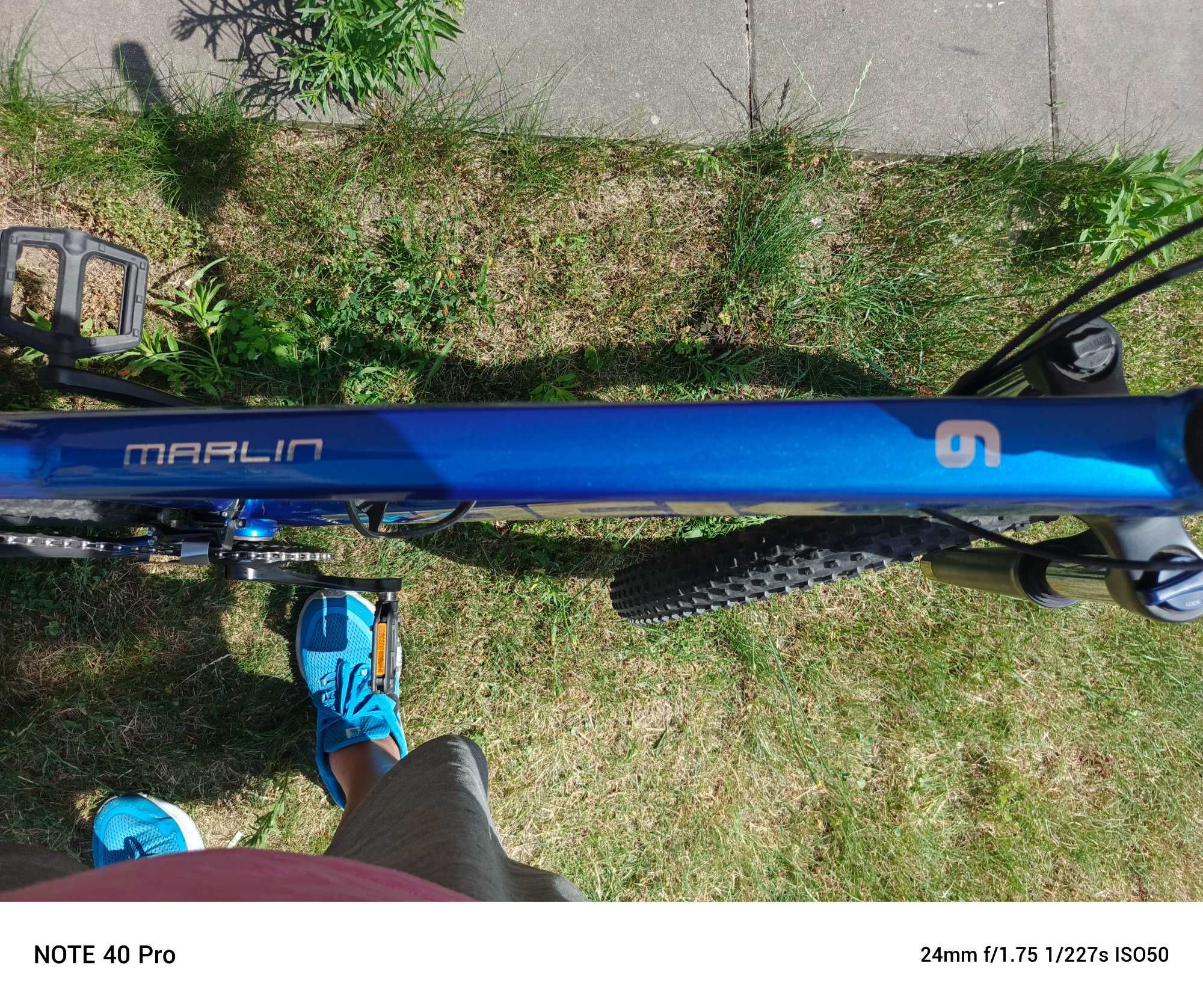 Rower Trek Marlin 6 L koła 29"