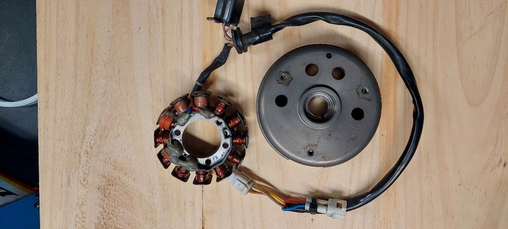 Rotor completo Gás Gás ec 300