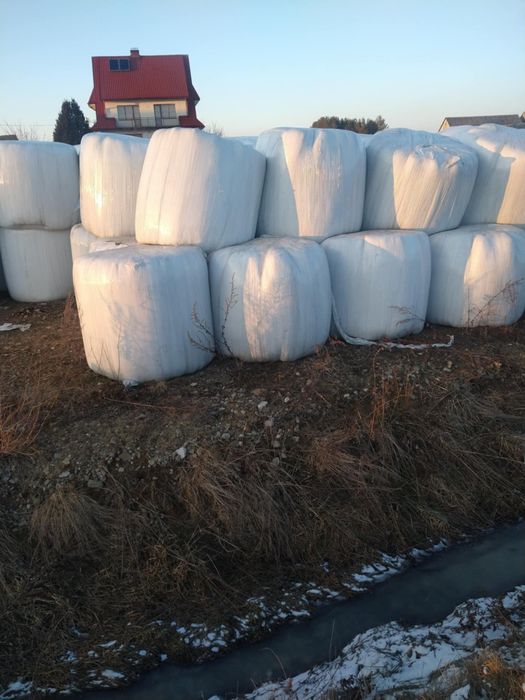 Bale. Bele sianokiszonki