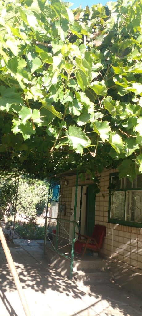 Продається дача в кооперативі " Фазан"
