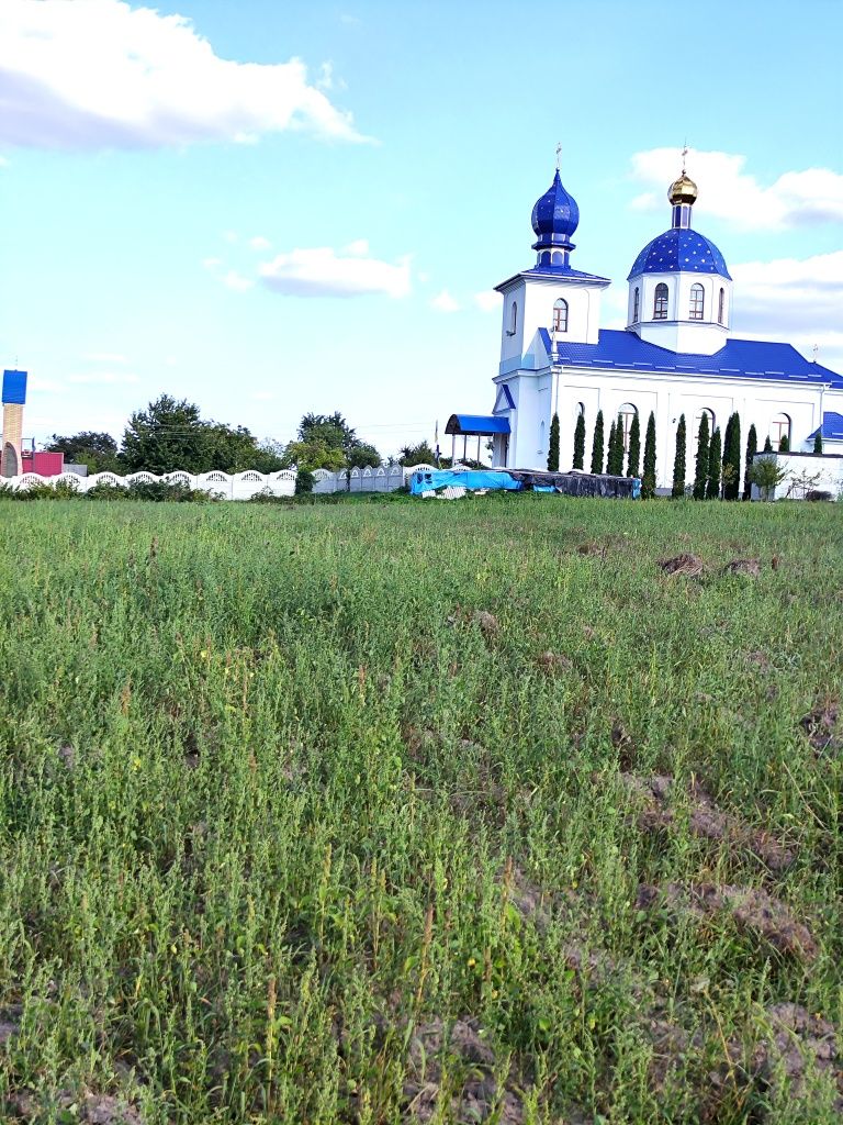 =Земельна ділянка в райському куточку=