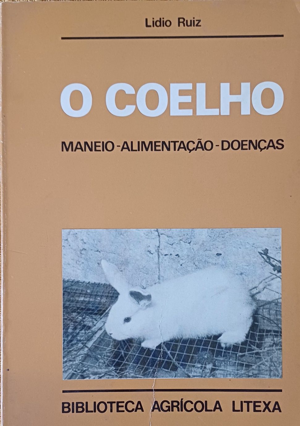 Coelhos Livro Antigo