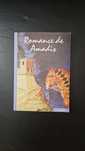 O Romance de Amadis- André Lopes Vieira