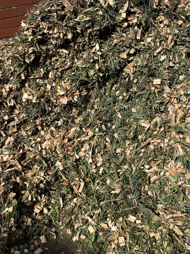 Zrębka liściasta iglasta opał biomasa zrębki trociny sosna