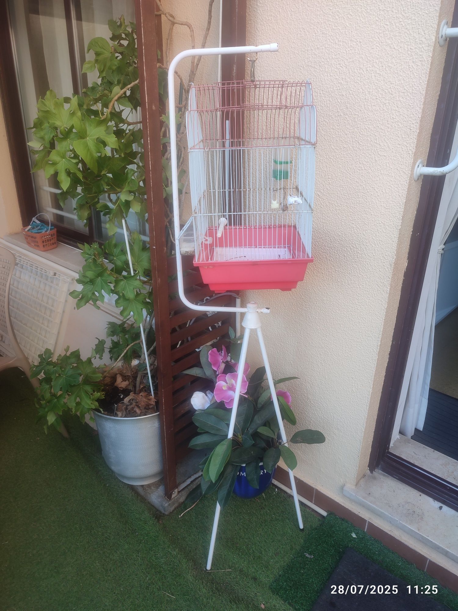Gaiola completa para pássaros
