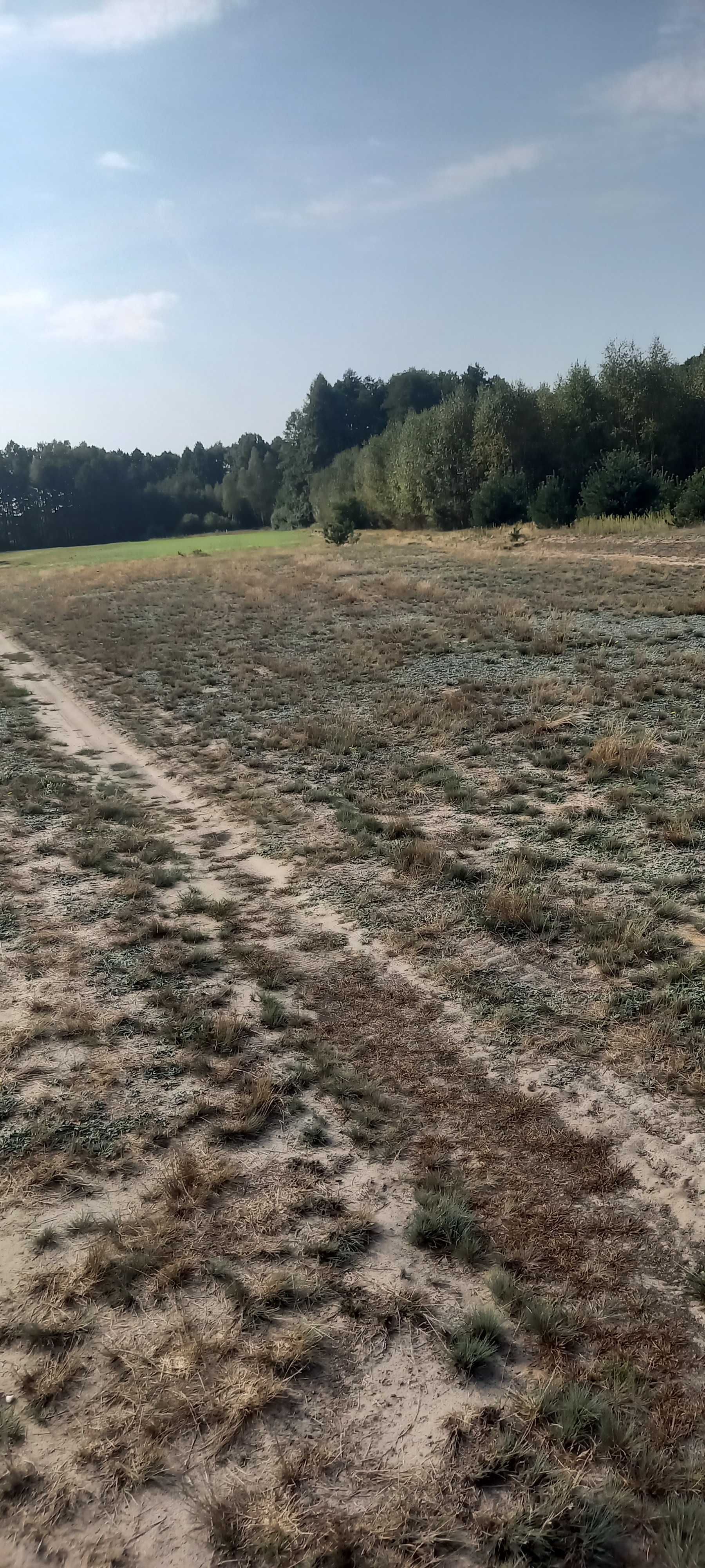 Sprzedam działkę Łysobyki 1000m.