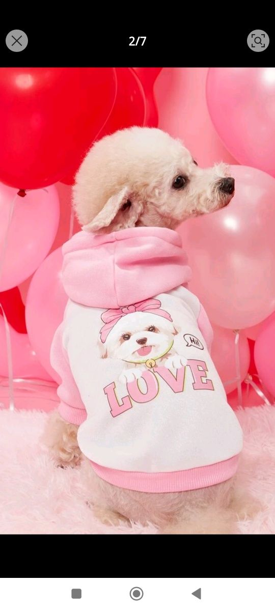 Bluza dla psa ubranko sweter kaptur xl