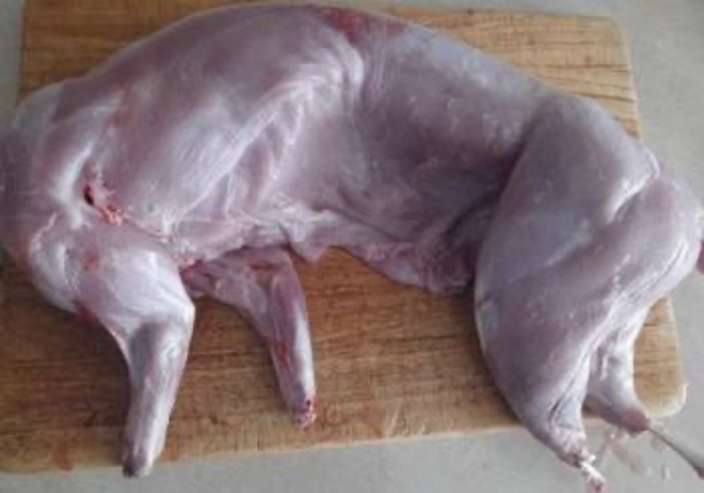 Sprzedam tuszki króliki