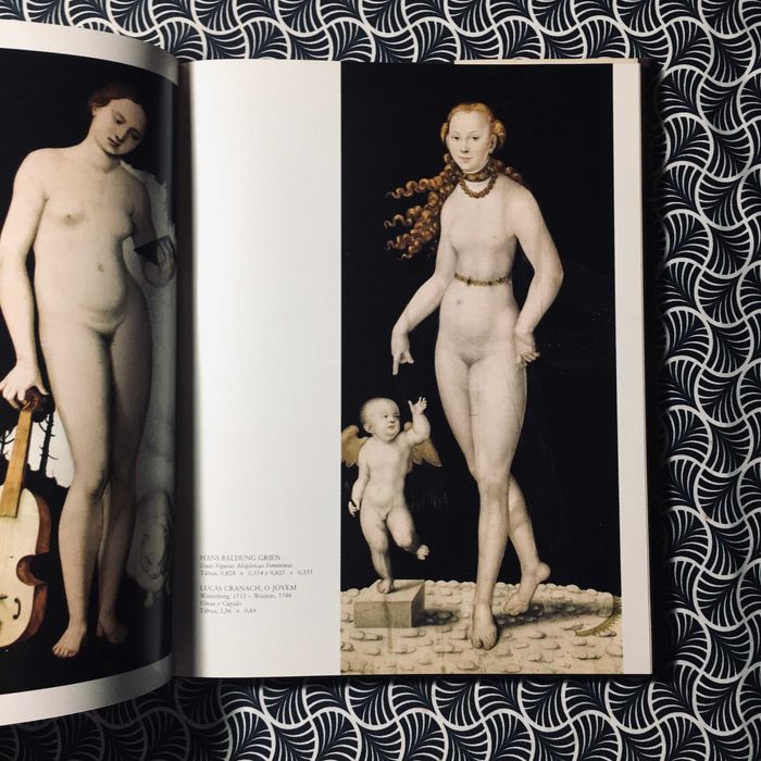 Grandes Museus do Mundo: Alte Pinakothek Munique