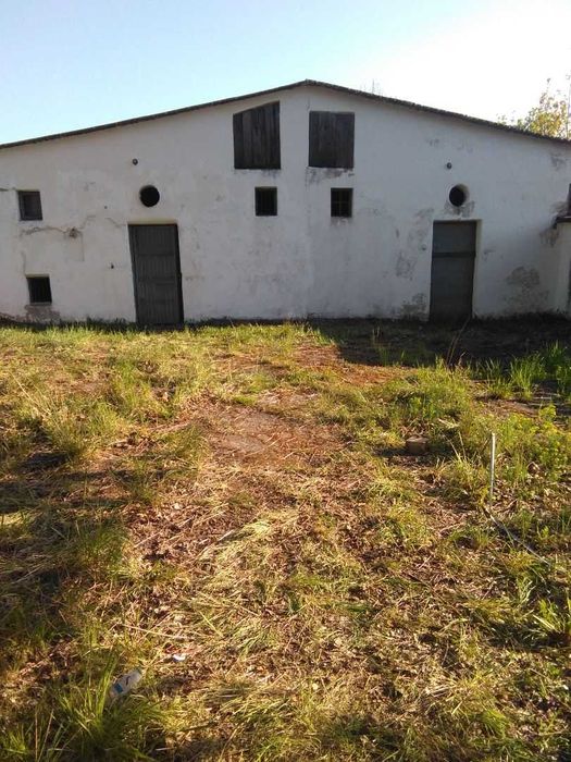 Wynajmę halę 100 m2 w Zagnańsku.