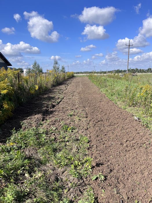 Glebogryzarka separacyjna zakładanie trawnikow trawa