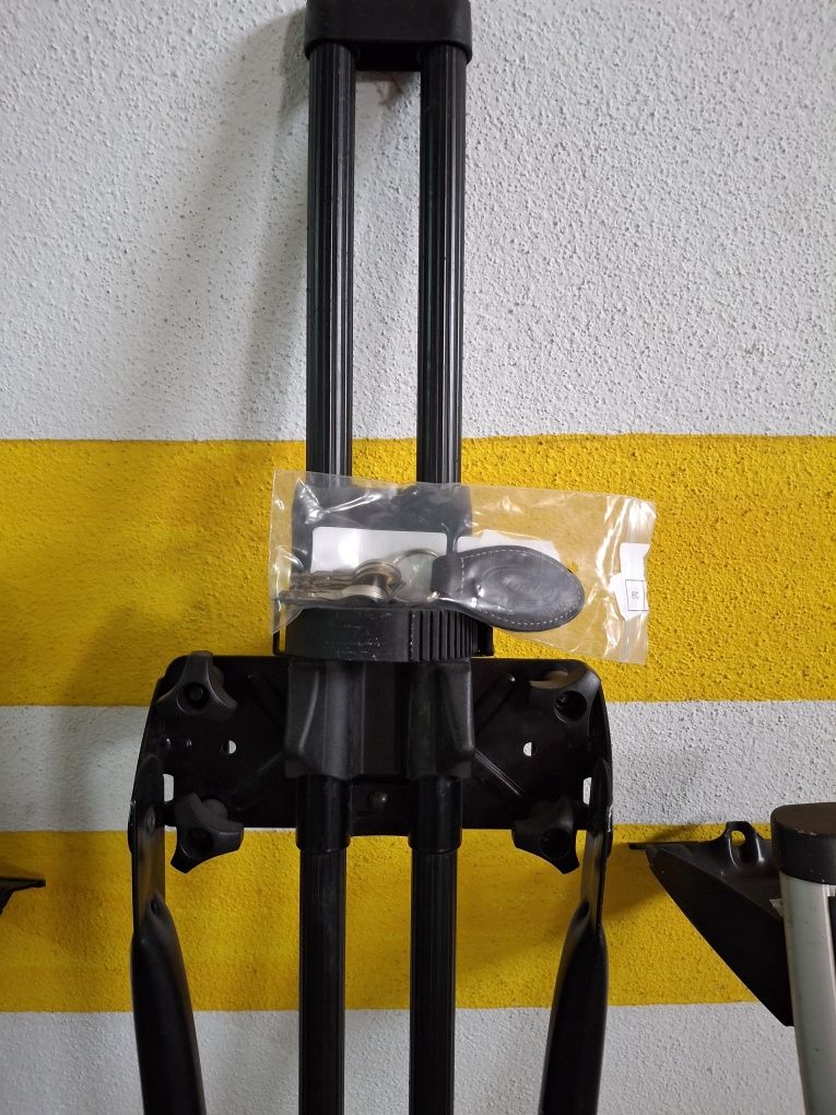 Barras(ford) + suporte bicicleta (thule)