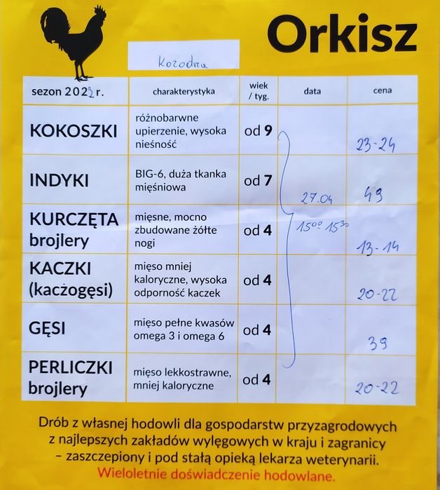 Zapisy na drób- kury, indyki, kaczki