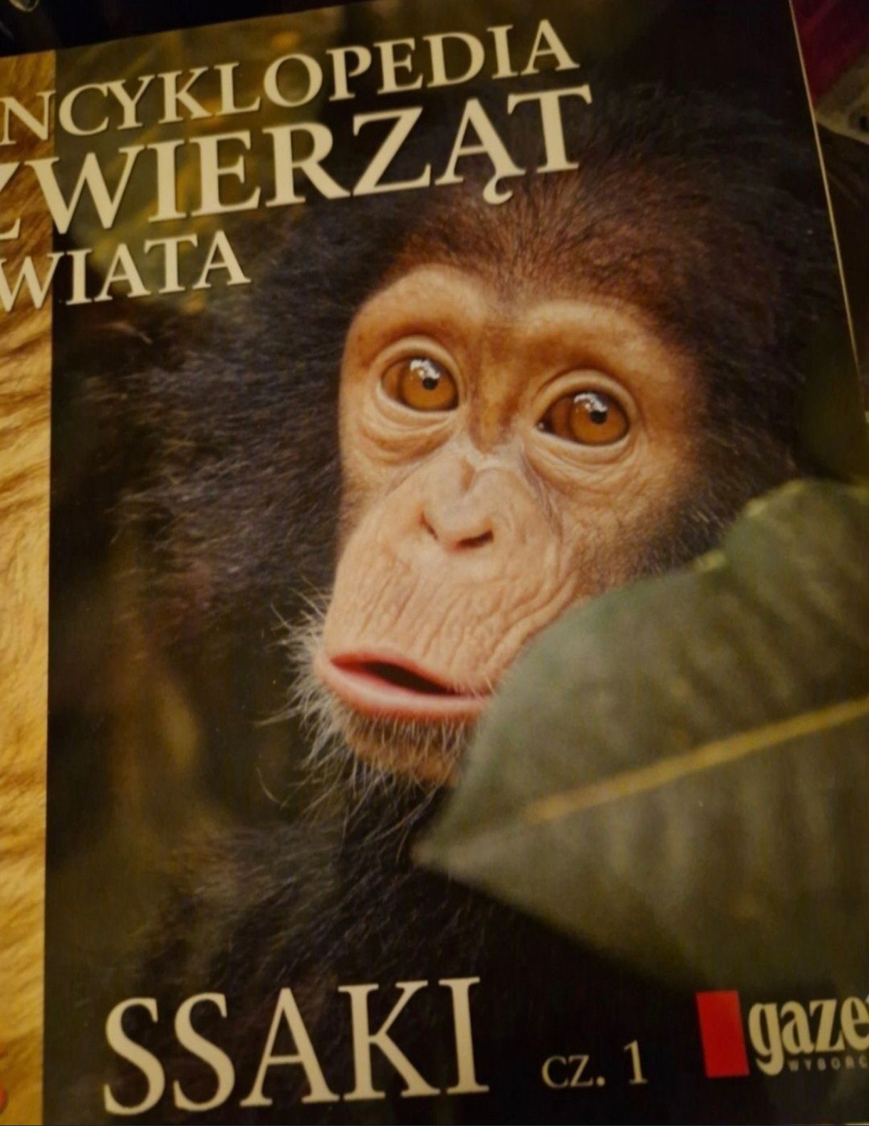 Encyklopedia zwierząt ptaki ssaki gady płazy