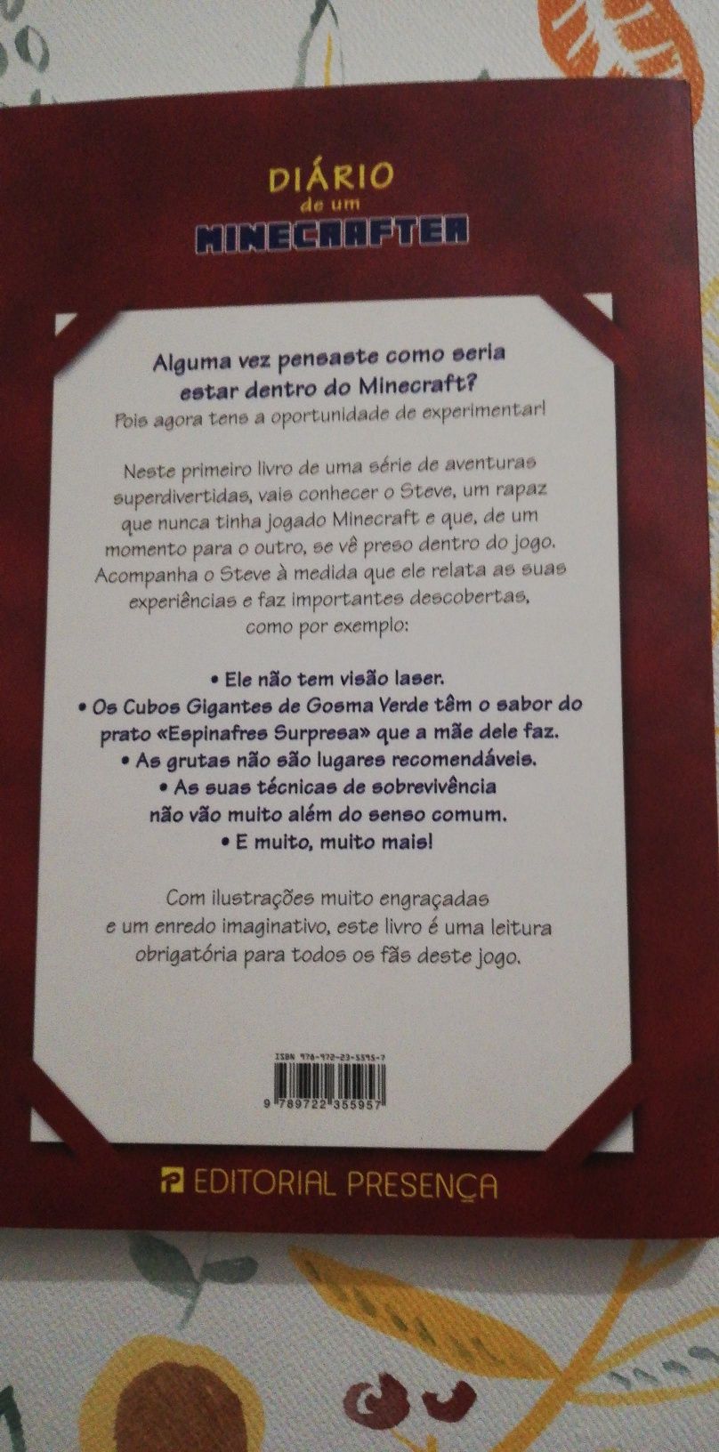 Livro Diário de um Minecrafter