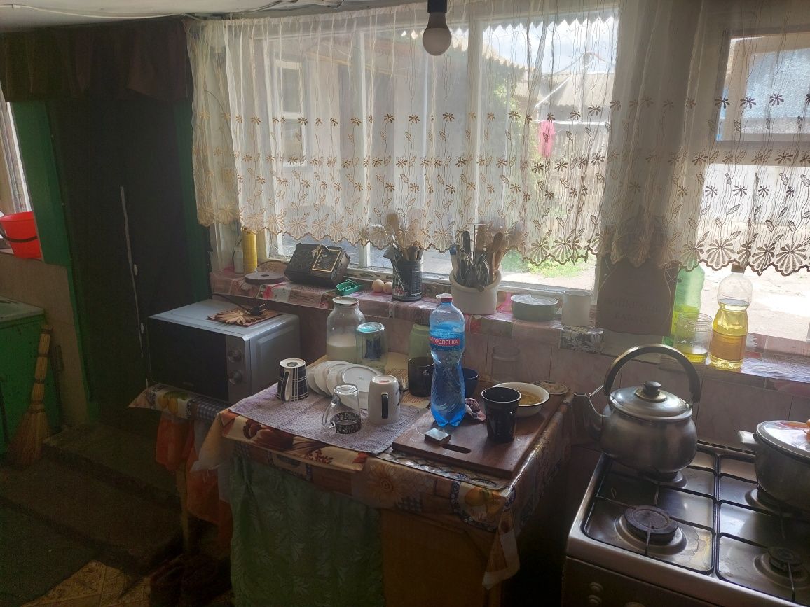 Будинок у н.п Шкуратівка