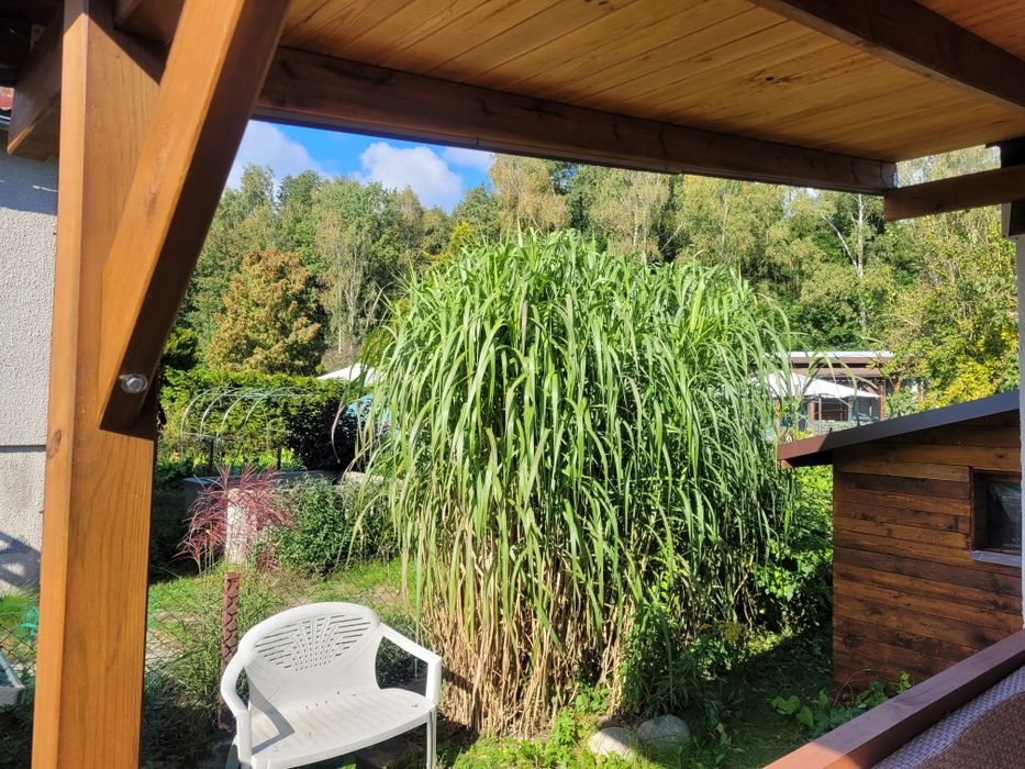 Działka rekreacyjna MUROWANY DOMEK ROD BORÓWKA Nekla Borówno