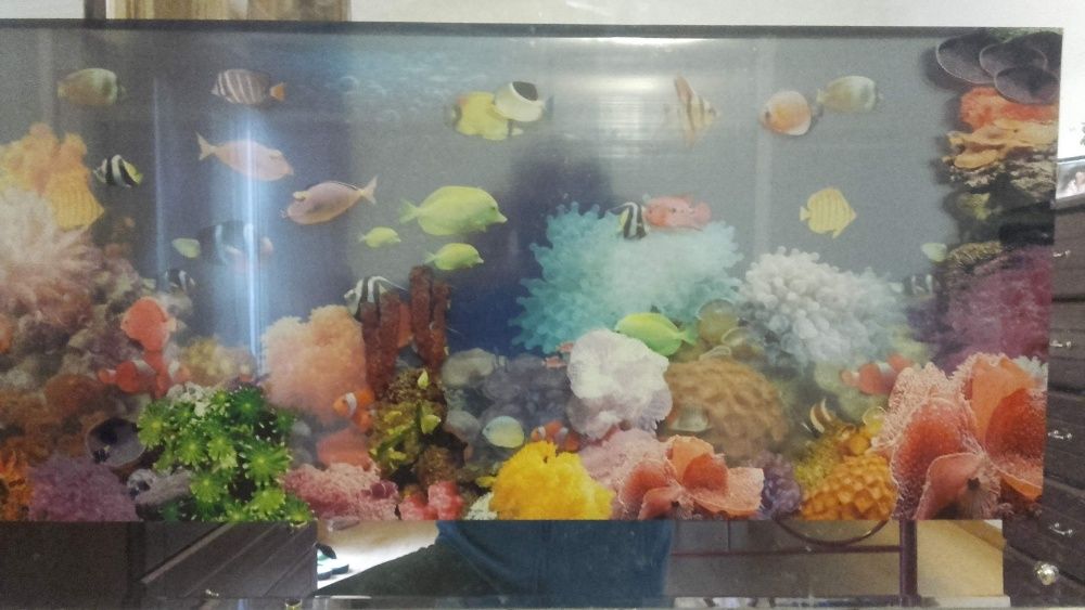 Quadro digital aquário