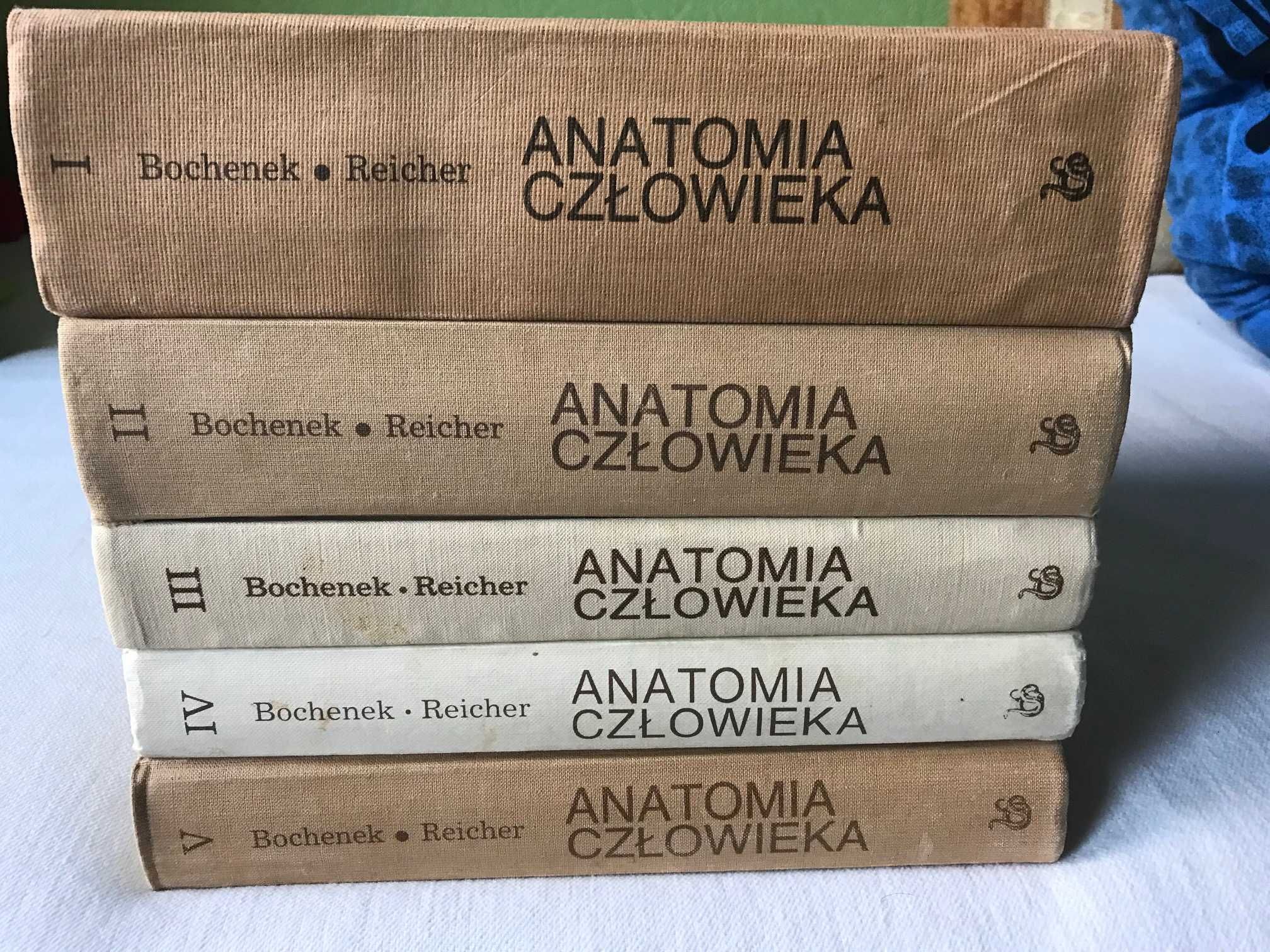Anatomia Bochenka 5 tomów