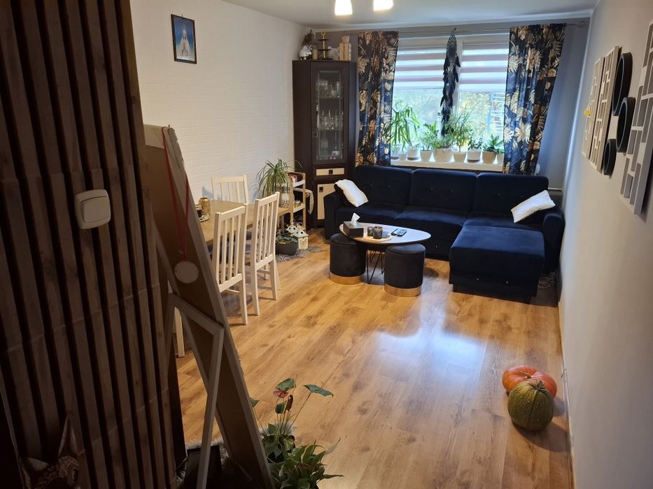 Mieszkanie Mileszewy 62,5m2