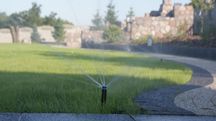 Projektowanie ogrodów, podlewanie, inwentaryzacje dendrologiczne