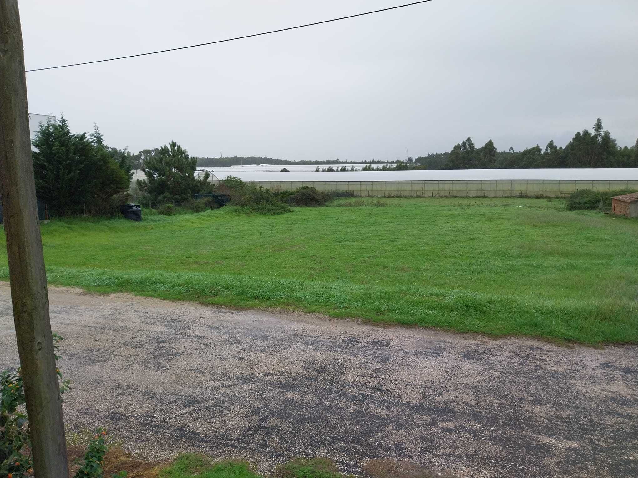 Terreno para construção na Silveira