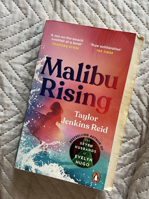 Книги (Malibu Rising,Выбор, Франкл, Хэмингуэй)