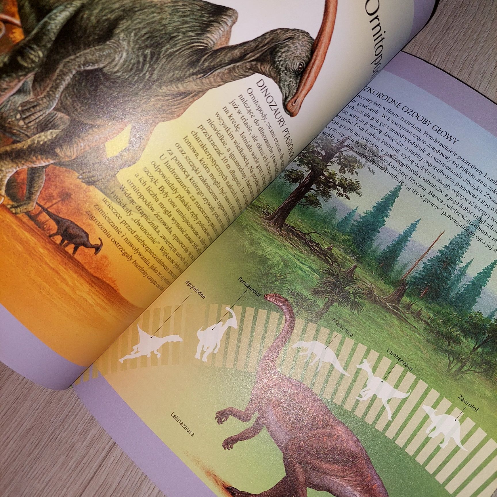 książka o dinozaurach