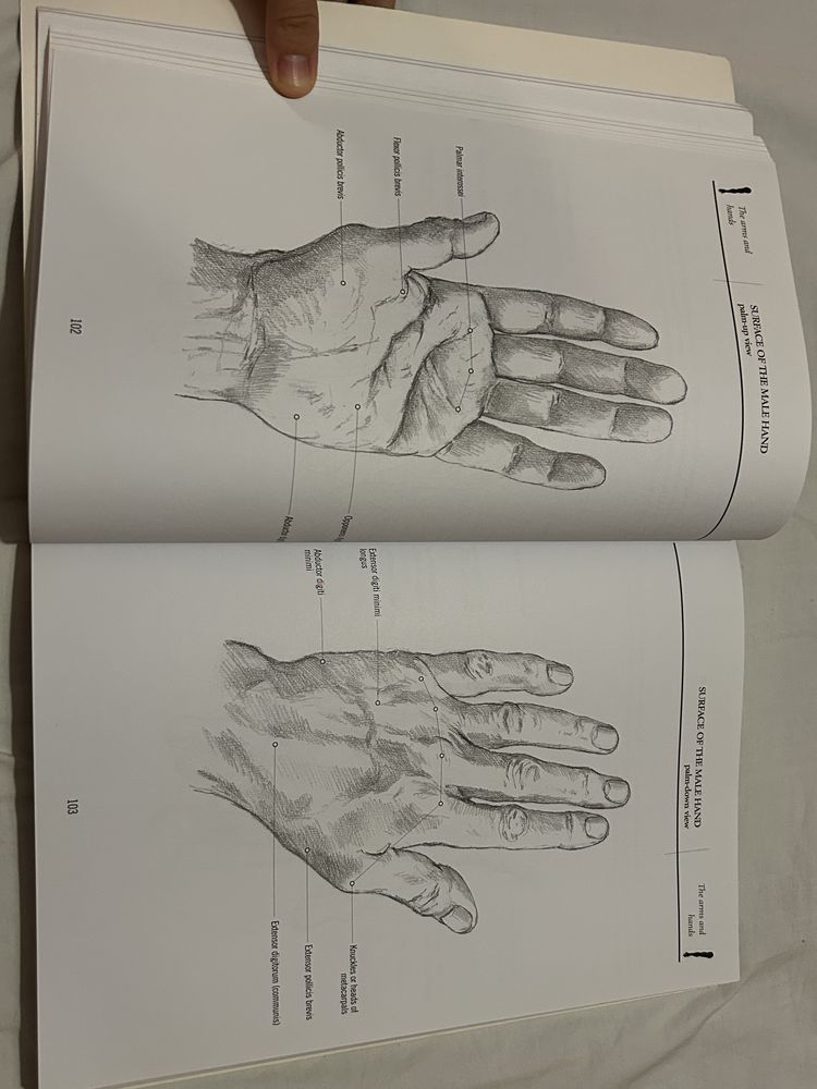 Livro de Anatomia Humana