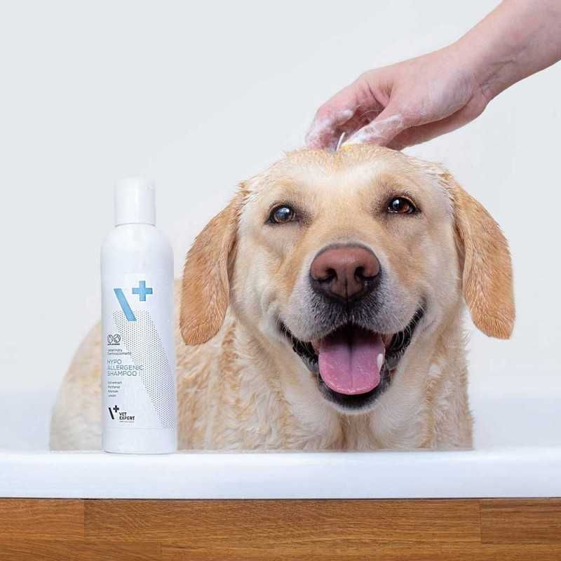 Promocja VetExpert Hypoallergenic Szampon 4 x 250 ml
