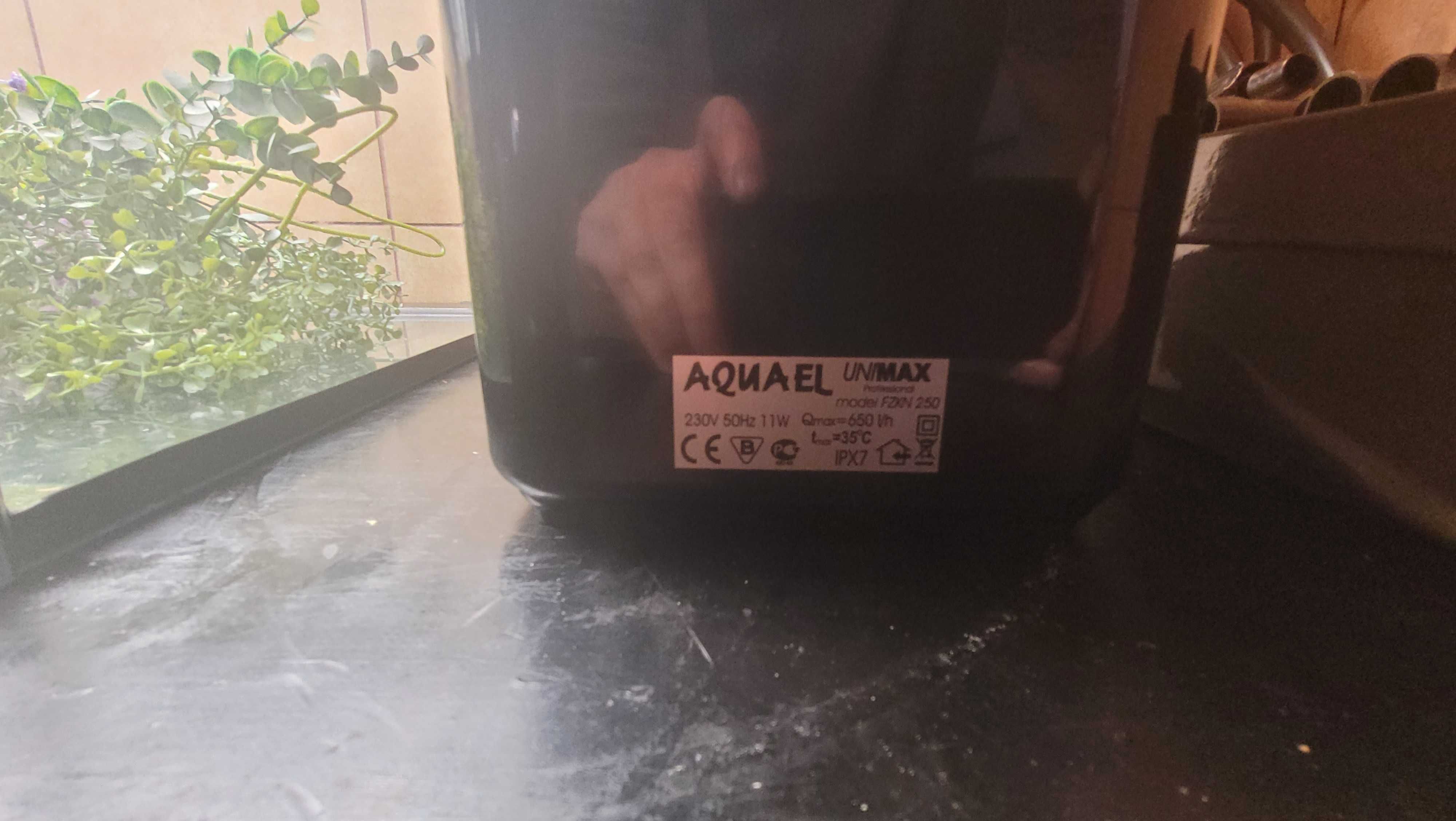 Akwarium Aguael 100x40x50cm 200L Proste 8mm z wyposażeniem