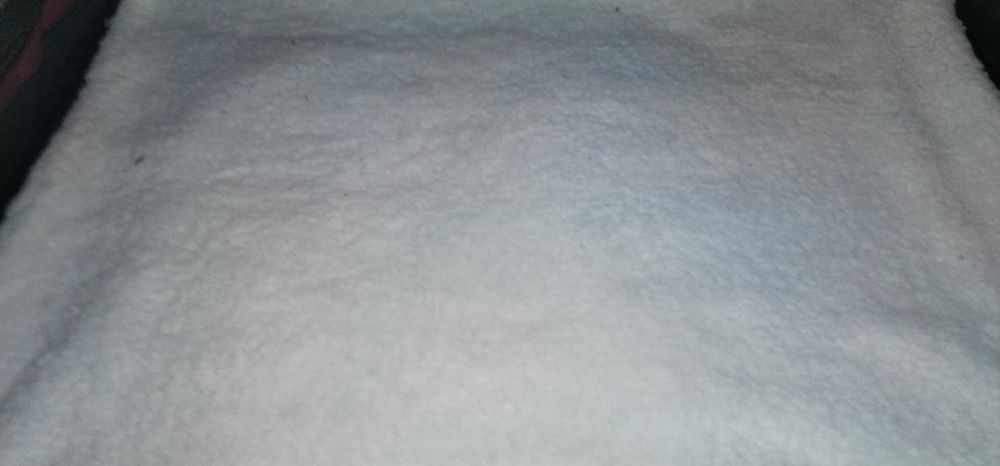 Torba Transportowa dla Psów i Kotów,    Miska i woreczki gratis