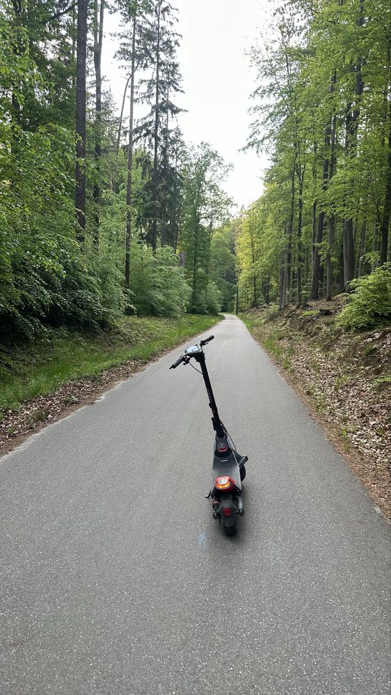 Segway Ninebot P100S