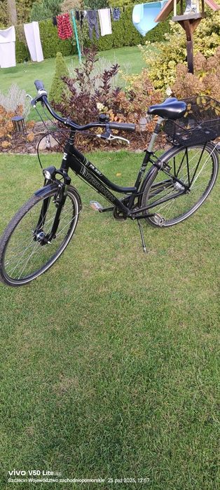 Rower Triumph czarny