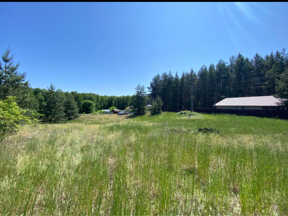 Камплица Задонецкое ділянка в лісу біля річки