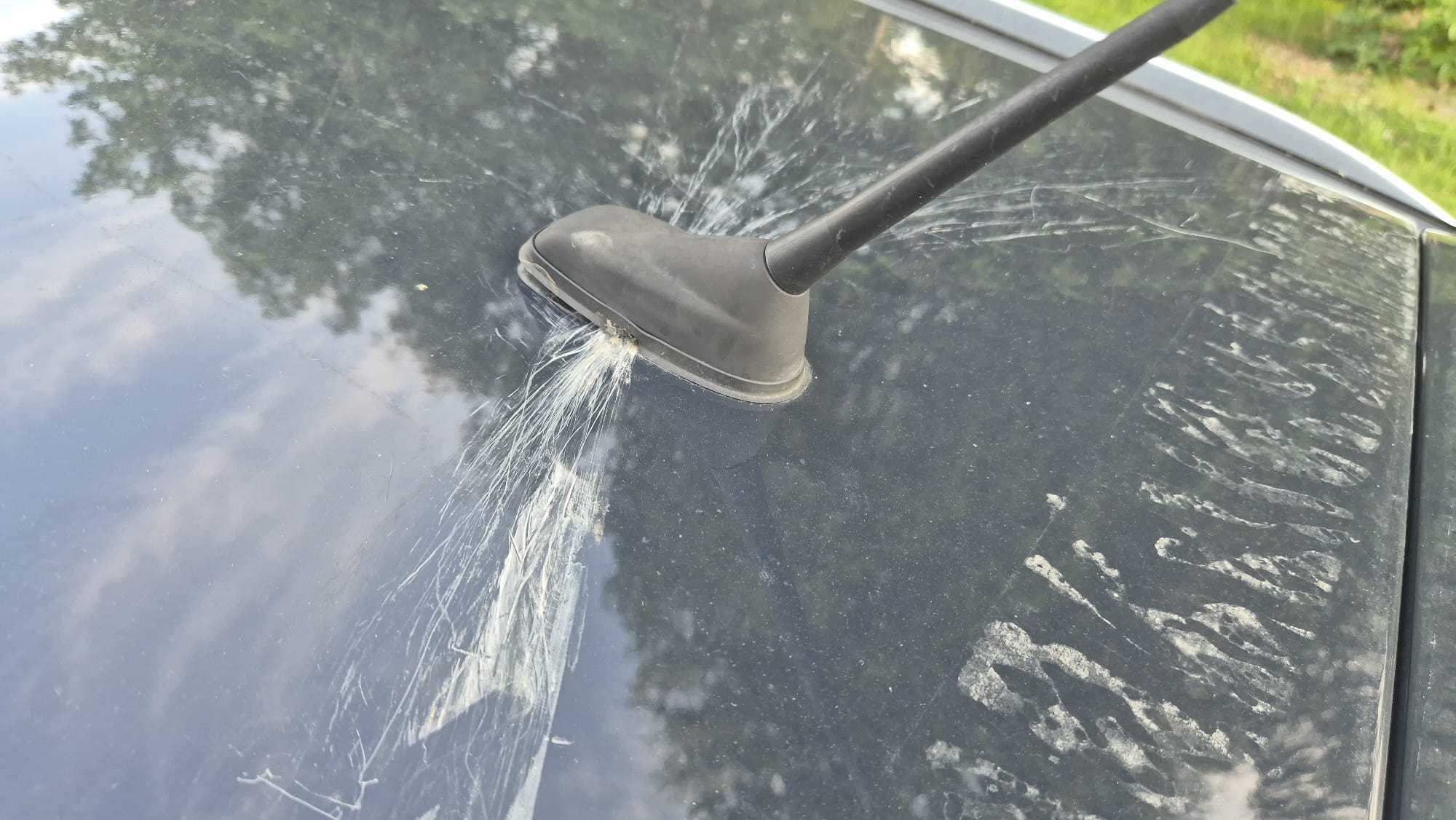 Peugeot 308 11/2019r, podgrzewane siedzenia, AUTOMAT