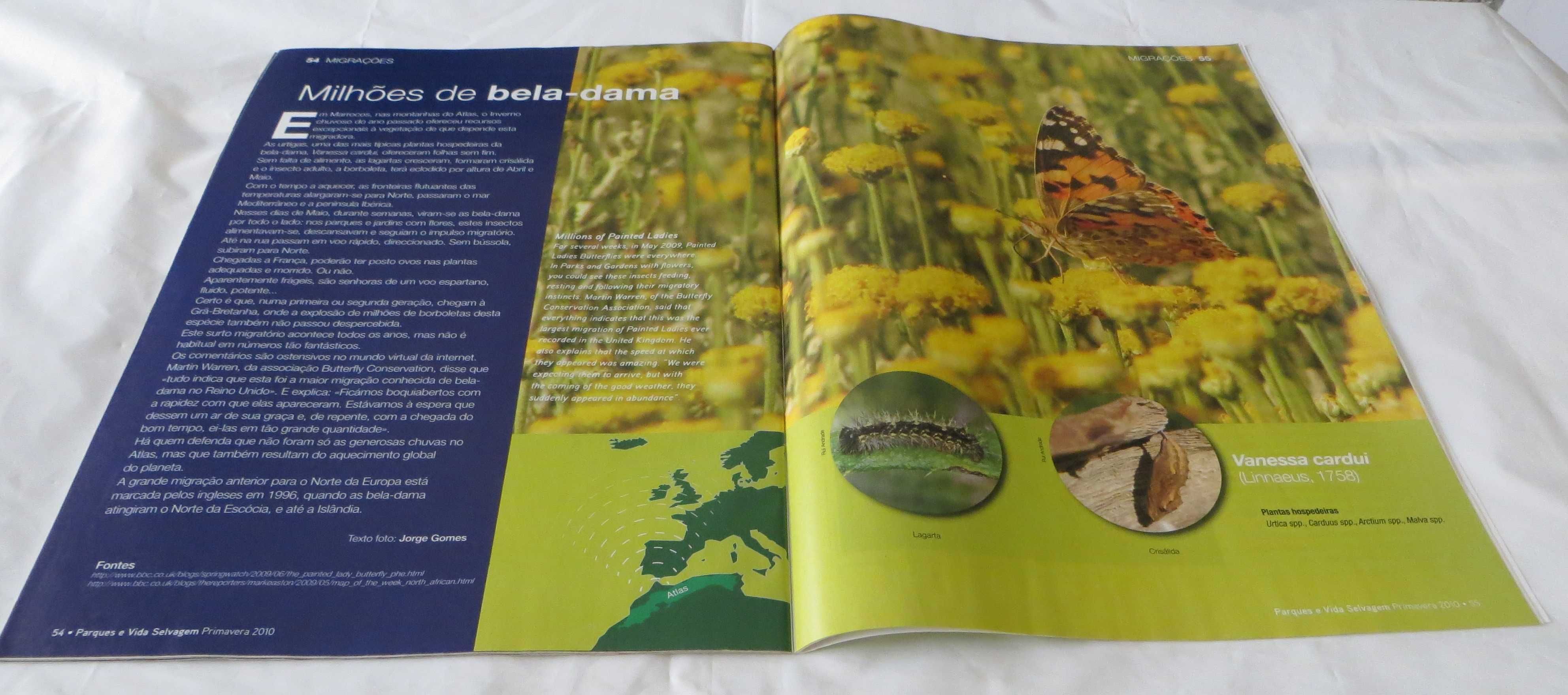 Revista Parques e Vida Selvagem Nº 31 - Micromamíferos