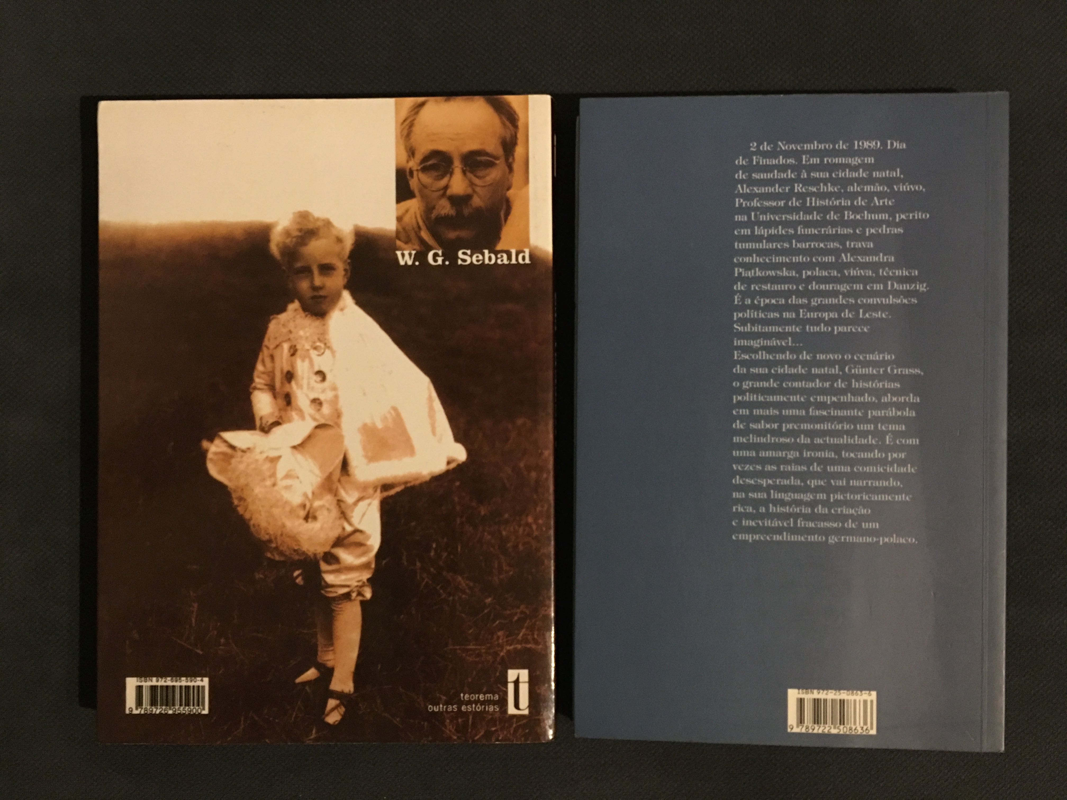 Stig Dagerman/A.  Schwarzenbach/ E. Junger/ G. Sebald /G. Grass
