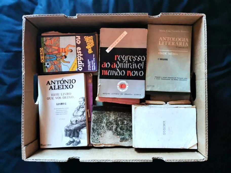 Lote de livros diversos II