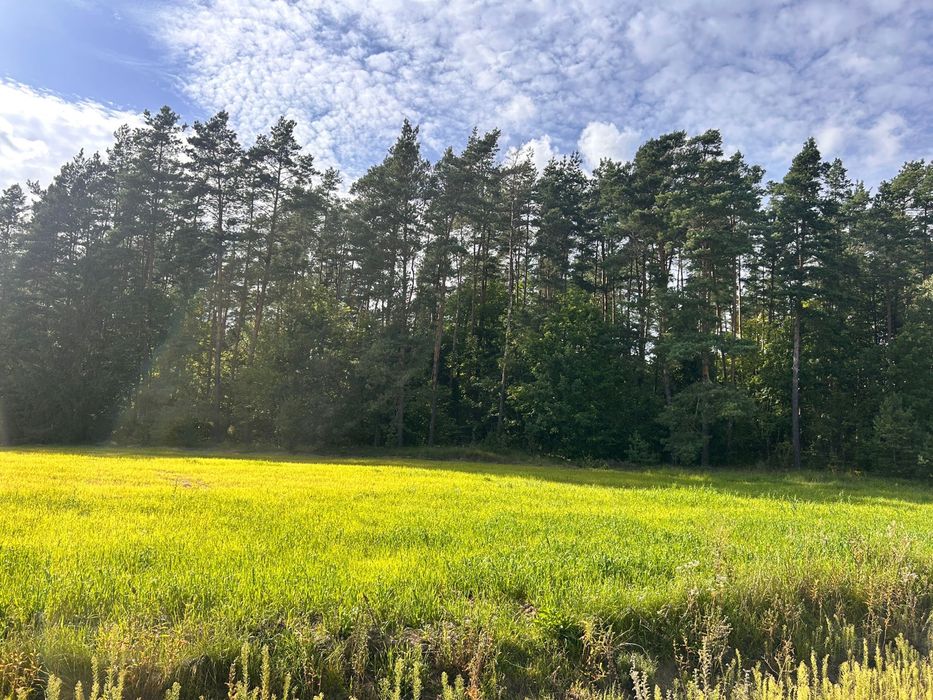 Dzialka z pozwoleniem na budowe, Szczebra okolice Augustowa