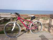 Bicicleta Berg roda 27.5