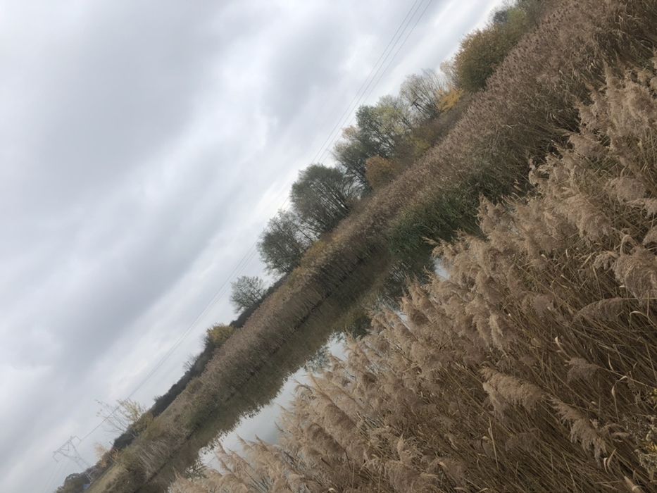 Sprzedam działkę z budynkami (PGR)